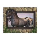 Framed Horse postcards