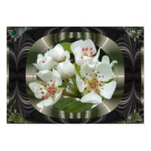 Framed Pear flowers ~ ATC card Business Cards
