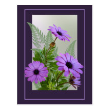 Framed Purple Daisies Postcard - TBA