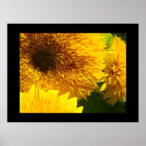 Framed Sunflower Garden art prints Colourful