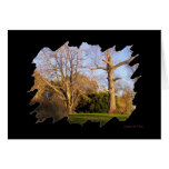 framed trees Greeting Card