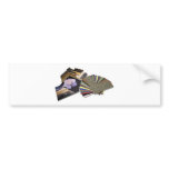 FramingComponents050809Shadows Bumper Sticker