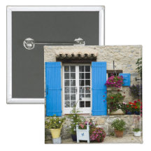 France, Provence, Saint-LÈger-du-Ventoux. Pins