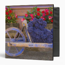 France, Provence, Sault. Old wooden cart with 3 Ring Binder