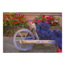 France, Provence, Sault. Old wooden cart with