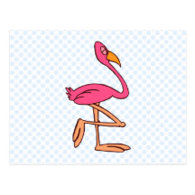 Francisco Flamingo Post Cards