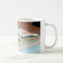 Francois Joseph Bosio's Hyacinthus Mug