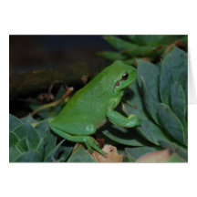 Francoise la grenouille carte de vœux