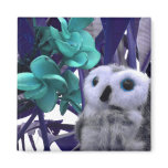 Frangipani (2) refrigerator magnets