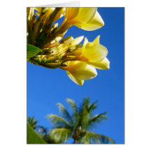 Frangipani and Coconut Palm Greeting Card