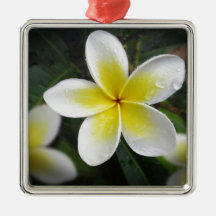 Frangipani And Raindrops Ornament