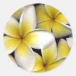 Frangipani Autocollants