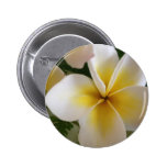 Frangipani Badges