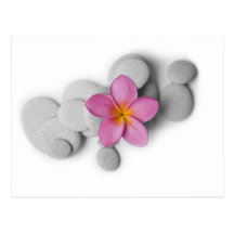 Frangipani Calm Post Cards
