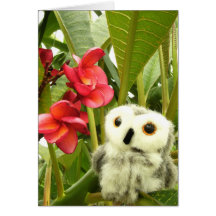 Frangipani Carte De Vœux