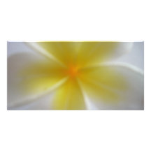 Frangipani Cartes Avec Photo
