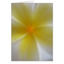 Frangipani Cartes De Vœux