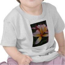 Frangipani design tshirt
