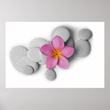 Frangipani et cailloux posters