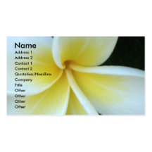 Frangipani flower Business Card