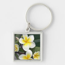 Frangipani flower Cook Islands Keychains