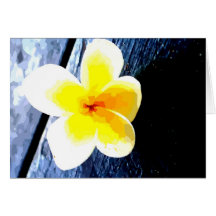 frangipani flower greeting card