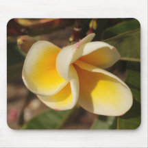 Frangipani flower mousepad