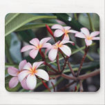 Frangipani Flowers Mouse Mats