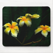 Frangipani Mouse Pad