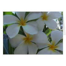 Frangipani presque comestible cartes de vœux