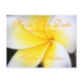 Frangipani -  Save The Date Post Cards