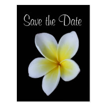 Frangipani save the date wedding announcement postcard