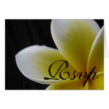 Frangipani - Wedding RSVP Card