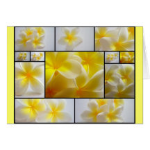 Frangipanis Cartes De Vœux