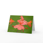 Frank Greeting cards