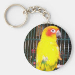 frankie on limb keychain
