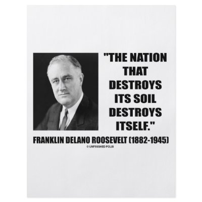 Franklin Delano Roosevelt Nation Destroys Its Soil Flyers by unfinishedpolis