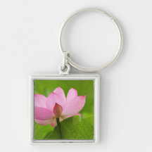 Franklin NC, Perry's Water Garden, Lotus Key Chains