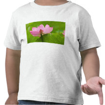 Franklin OR, jardin de l'eau de Perry, Lotus T-shirt