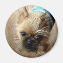 FRANKLIN REFRIGERATOR MAGNETS
