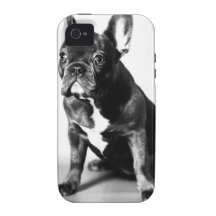 Französische Bulldogge Vibe iPhone 4 Cover
