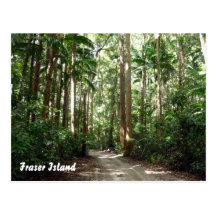 fraser rainforest post cards