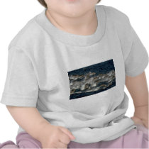 Fraser's dolphin tee shirts