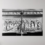 Freak Show: 1941 posters