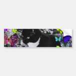 Freckles in Butterflies II - Black & White Tux Cat Bumper Stickers
