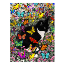 Freckles in Butterflies - Tux Kitty Cat Post Cards
