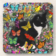 Freckles in Butterflies - Tuxedo Kitty Drink Coasters