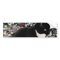 Freckles in Flowers II - Tuxedo Cat Bumper Sticker