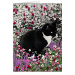Freckles in Flowers II - Tuxedo Kitty Cards