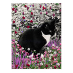 Freckles in Flowers II - Tuxedo Kitty Cat Postcard